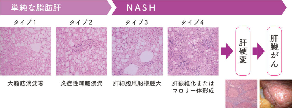 医師に連絡する時期